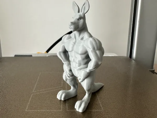 https://makerworld.bblmw.com/makerworld/model/USd6481263f08a9f/design/2025-07-06_b6d66f0a84eec8.jpeg