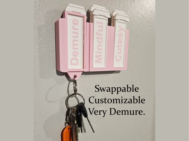 Keychain hanger with customizable swapping plates
