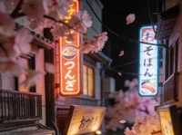 Sakura Alley - Book nook ruelle japonaise nocturne au ramen — photo 2