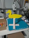 Duck target