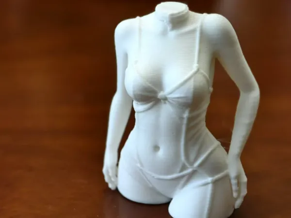 https://makerworld.bblmw.com/makerworld/model/USd650af9ec8517b/design/2025-06-06_1173ab50ac93b8.jpg
