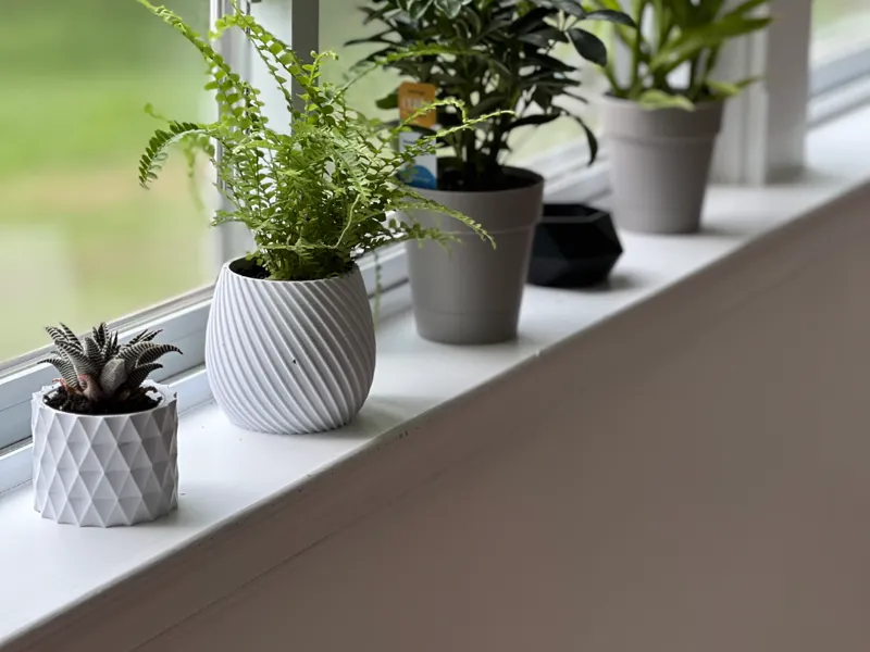 Plant pots