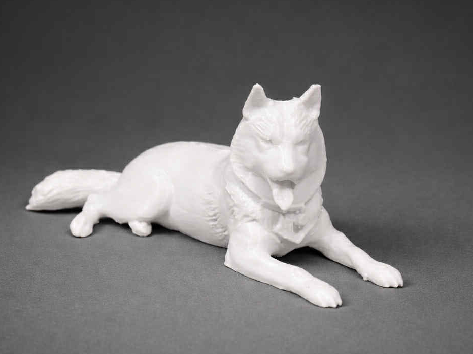 Lying Siberian Husky - Animal - Dog