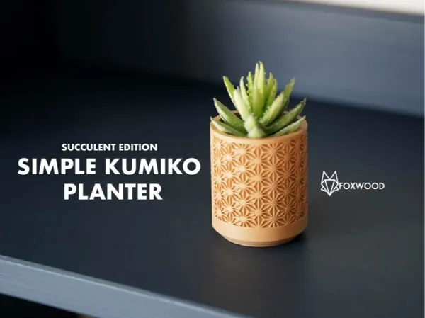 https://makerworld.bblmw.com/makerworld/model/USd657e35ce39175/design/2025-11-05_c27167d0861558.jpg
