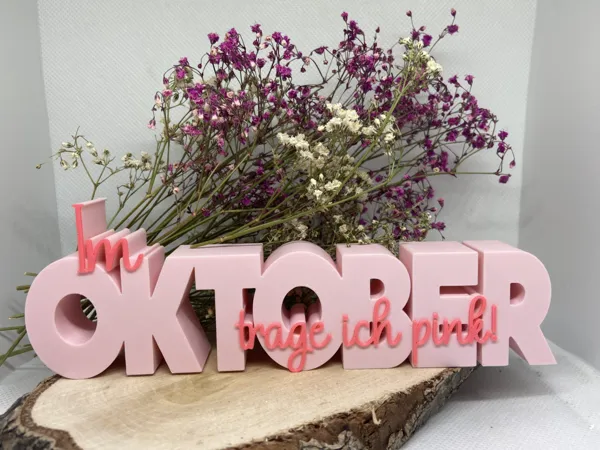 https://makerworld.bblmw.com/makerworld/model/USd659bf6be96b1f/design/2025-10-18_1f8301a6def298.jpg