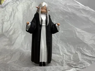 Frieren from anime Frieren: Beyond Journey's End