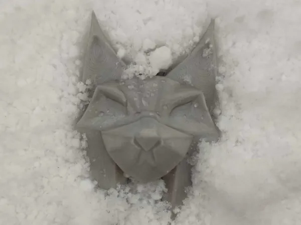 https://makerworld.bblmw.com/makerworld/model/USd65d9fc2712e17/design/2025-01-14_8922811b80dbc8.jpg