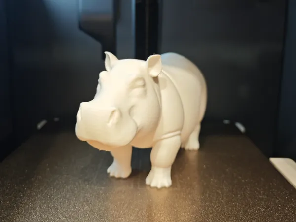 https://makerworld.bblmw.com/makerworld/model/USd660a13c132ad0/design/2024-12-31_e9b2388b85307.jpg