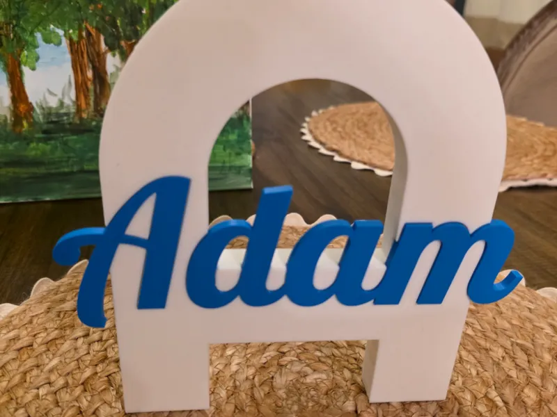 Baby Door Sign (Adam)