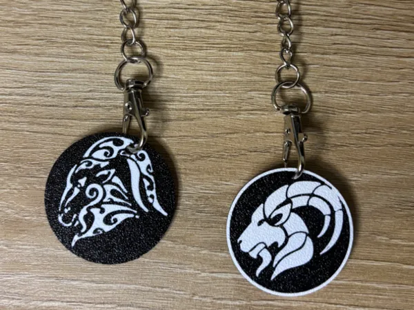 https://makerworld.bblmw.com/makerworld/model/USd66ff2d4adad16/design/2025-09-03_7dc064d0b9eb4.jpg
