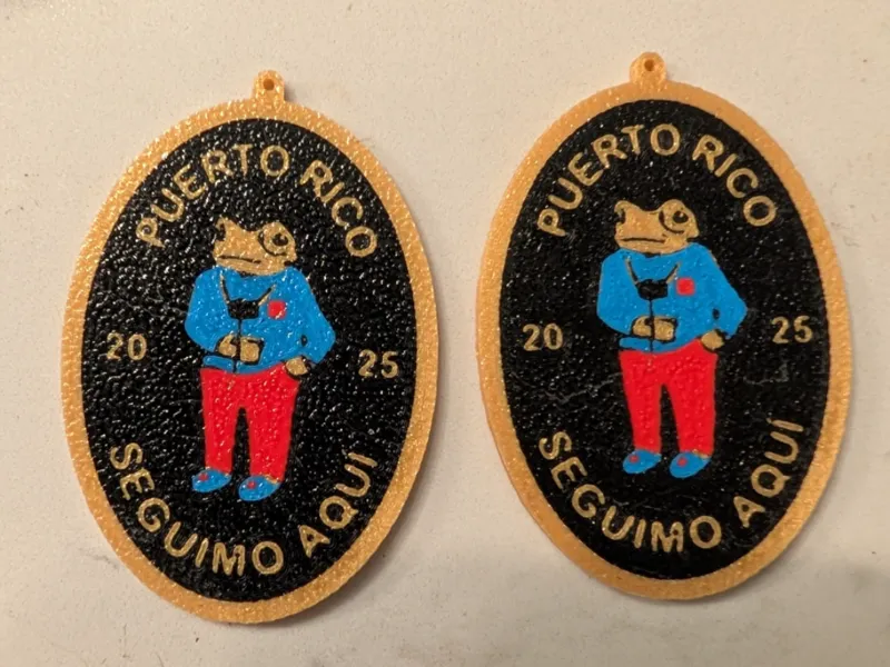 Concho Bad Bunny Seguimo Aqui Earrings