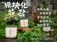 0.24mm 层高, 2 层墙, 10% 填充