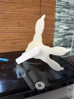 Tampons empreintes de dinosaure — photo 3