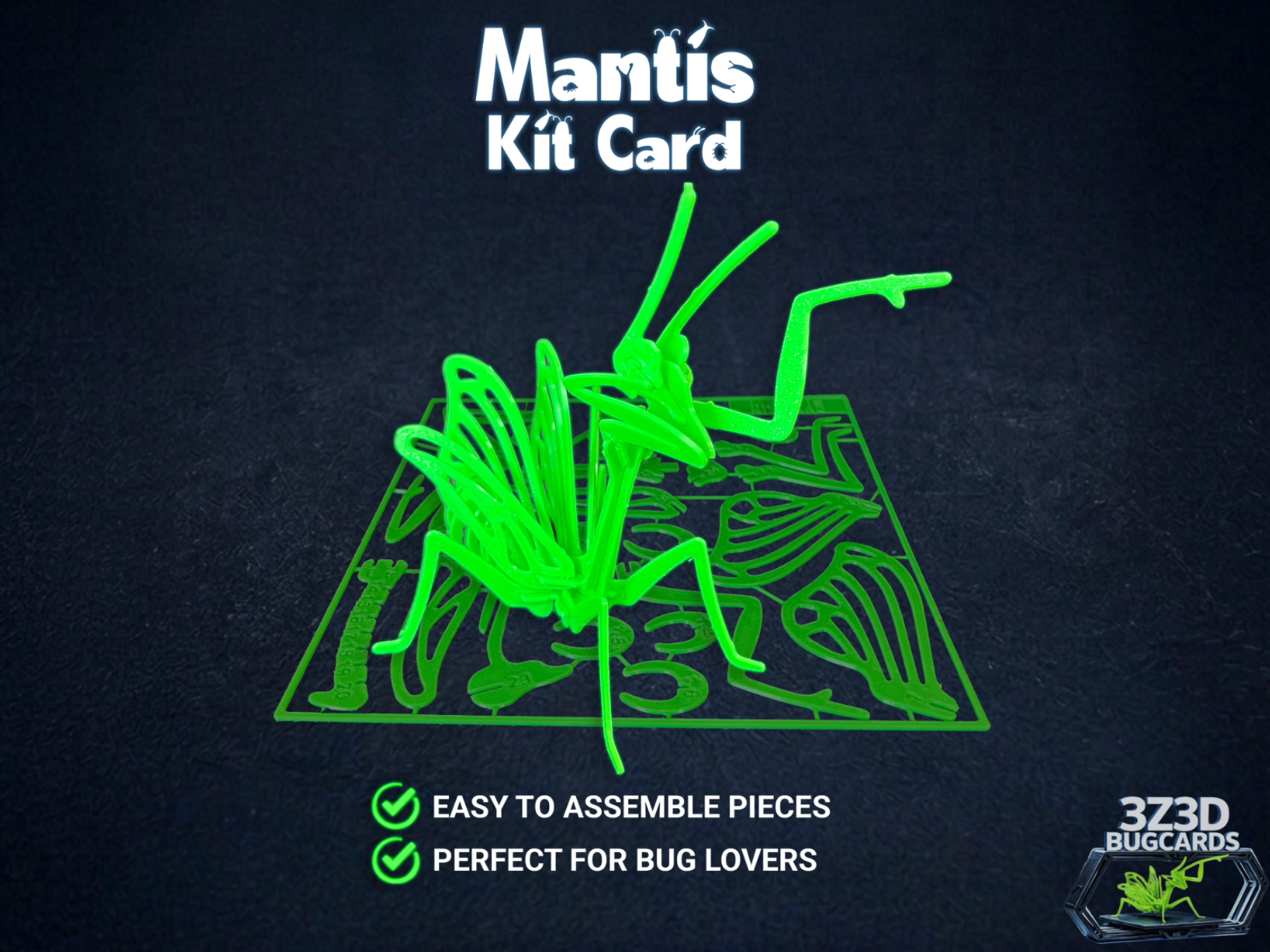 Mantis Bug Kit Card - BugCards