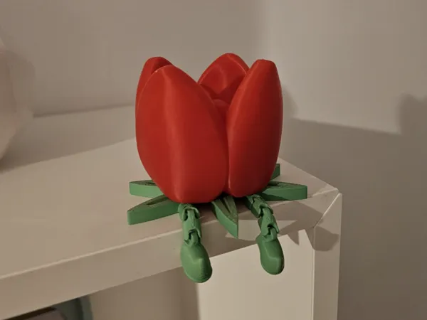 https://makerworld.bblmw.com/makerworld/model/USd67a53b451420d/design/2025-02-11_936570f61a5e3.jpg