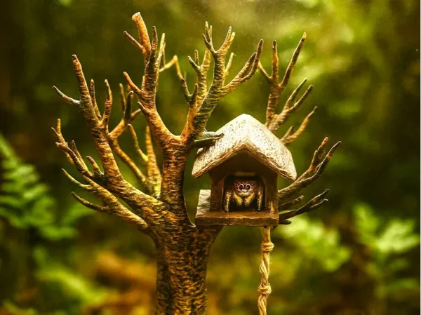 https://makerworld.bblmw.com/makerworld/model/USd67e7adfa89d01/design/2025-10-12_7e275396707468.jpg