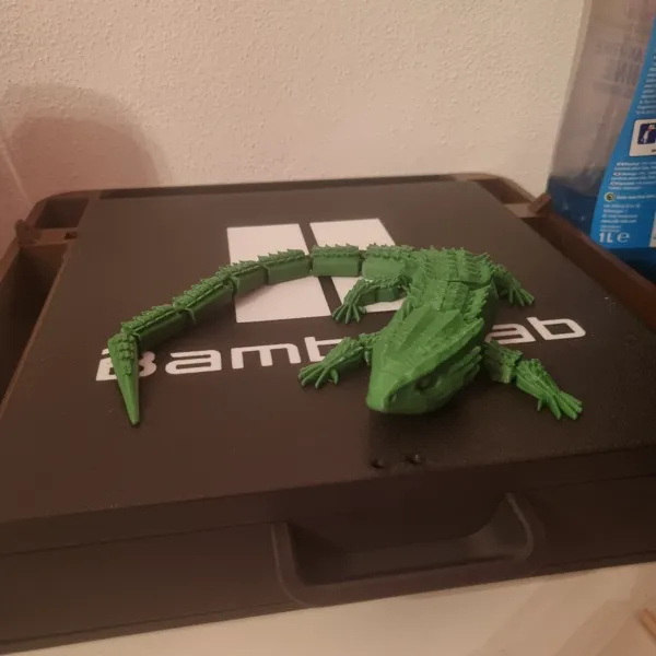 https://makerworld.bblmw.com/makerworld/model/USd68185a09ca3ab/design/2024-02-15_3f7b876ac93e1.jpeg
