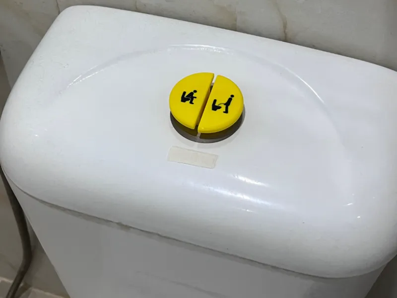 Kids-friendly Toilet Flush Buttons