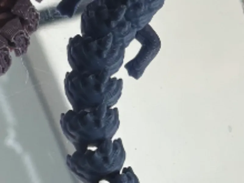 淡淡的蛋蛋