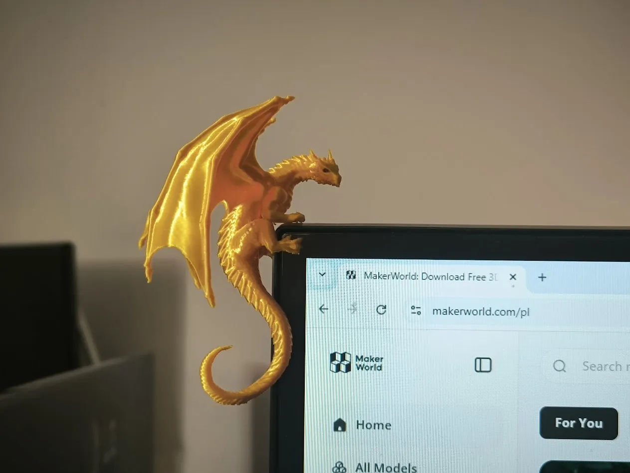 Monitro Dragon view 4
