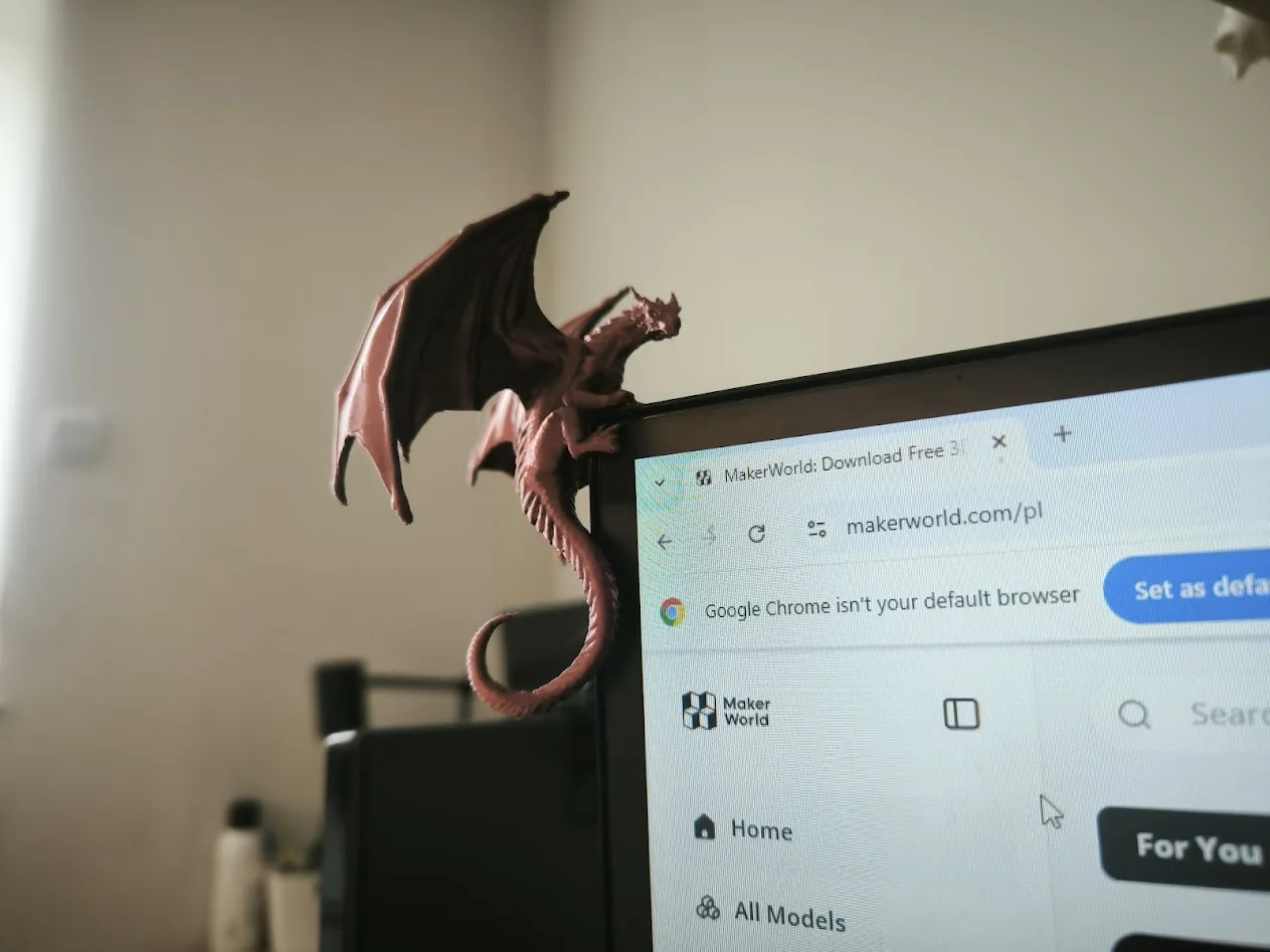 Monitro Dragon view 3