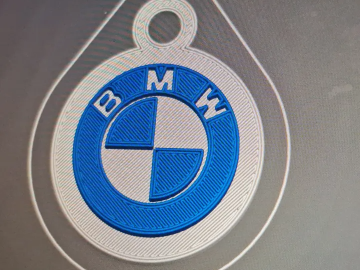 BMW Logo Key Chain