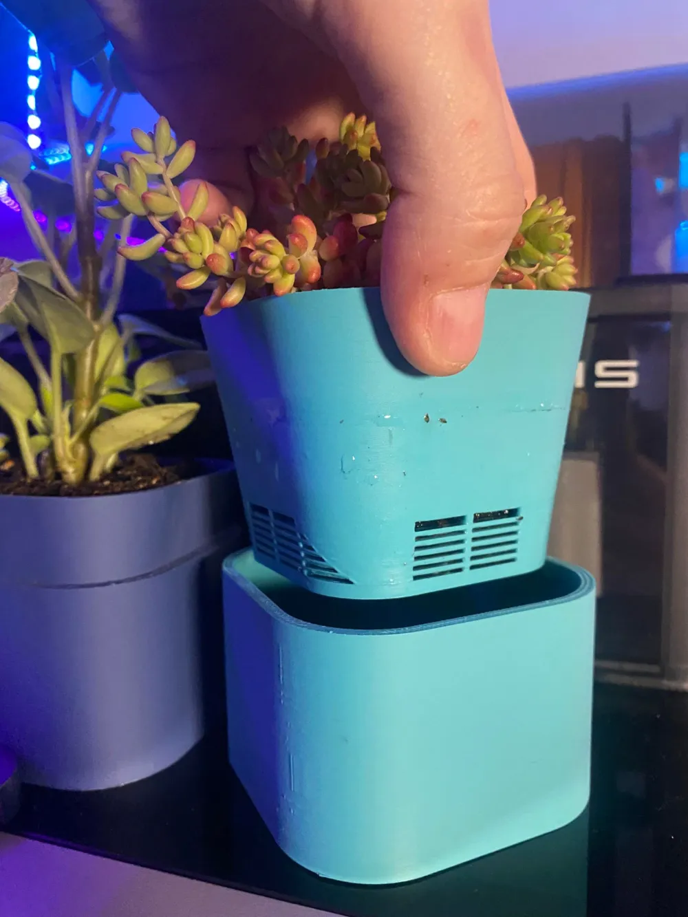 SELF WATERING PLANTER - Free 3D Print Model - MakerWorld