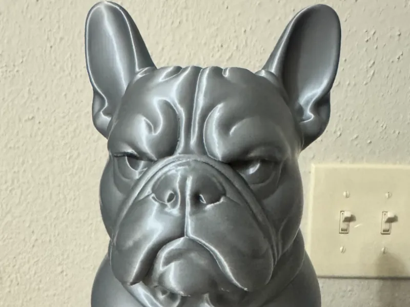 Mad French Bulldog