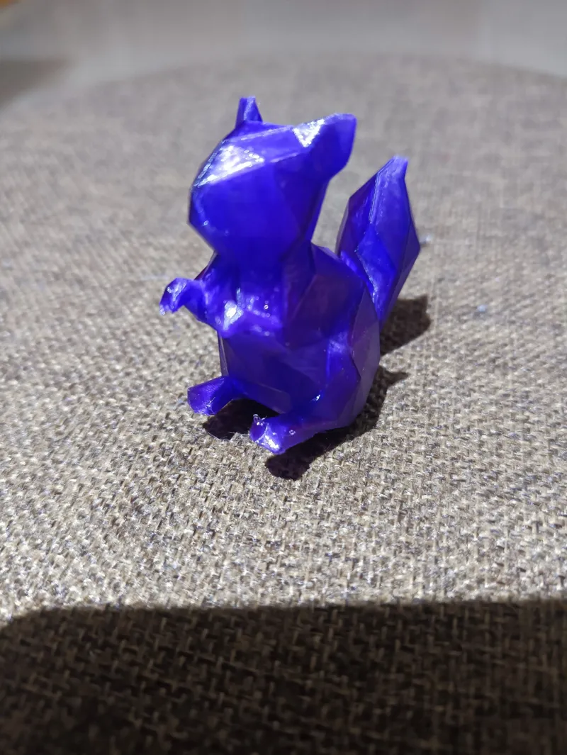 松鼠，squirrel