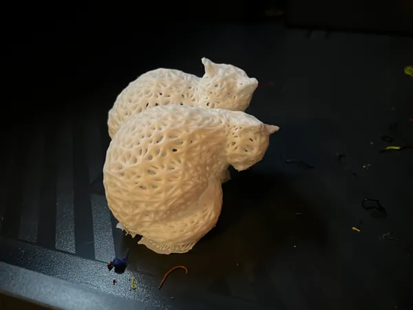 https://makerworld.bblmw.com/makerworld/model/USd691e4ca511540/design/2024-12-29_967fe284fa8a4.jpg