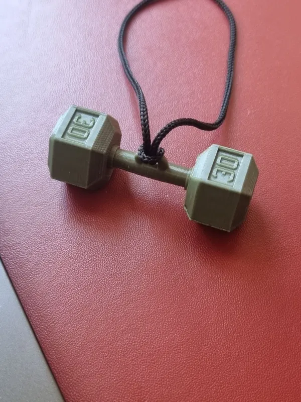 https://makerworld.bblmw.com/makerworld/model/USd696b0a978bb79/design/2024-04-11_75a1e40e62df4.jpg