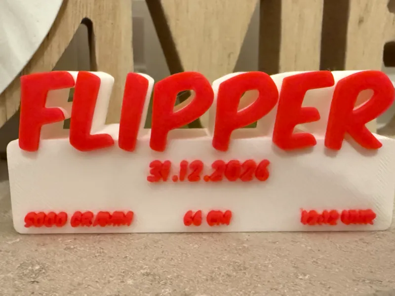 Flipper Gebursschild
