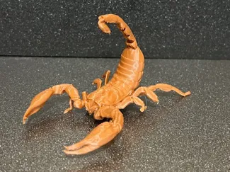 Scorpion
