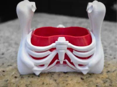 Bone Bag - TPU Insert