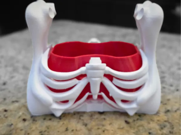 https://makerworld.bblmw.com/makerworld/model/USd69e4563ae5243/design/2025-09-10_0e70bcdb17b5e8.jpg
