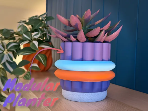 https://makerworld.bblmw.com/makerworld/model/USd6a0aaa5464a4a/design/2025-01-10_e1343719052f9.png