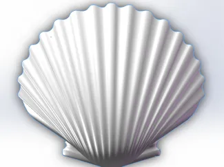 shell
