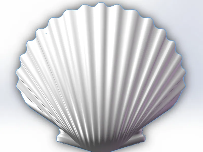 shell