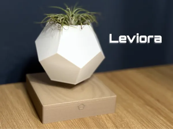 https://makerworld.bblmw.com/makerworld/model/USd6a757666f36df/design/2025-08-17_823abb56455e38.png