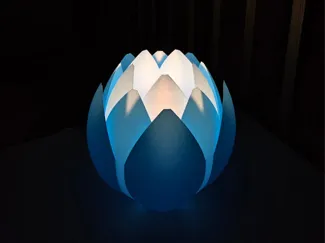 Lotus Flower Lamp shade