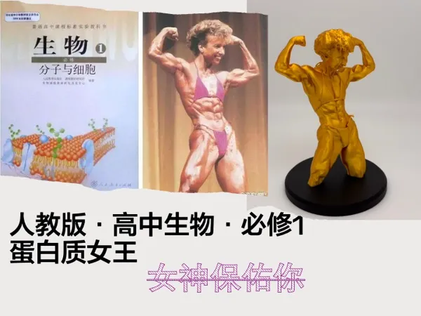 https://makerworld.bblmw.com/makerworld/model/USd6b33a68ed7a20/design/7d41a90d18ccd954.jpeg