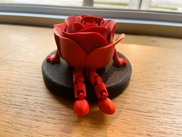 Rose buddy.