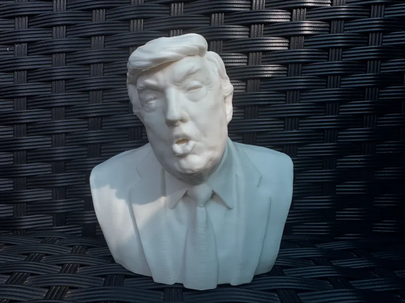 Trump Bust