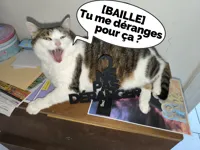 Pancarte porte Ne pas déranger — photo 2