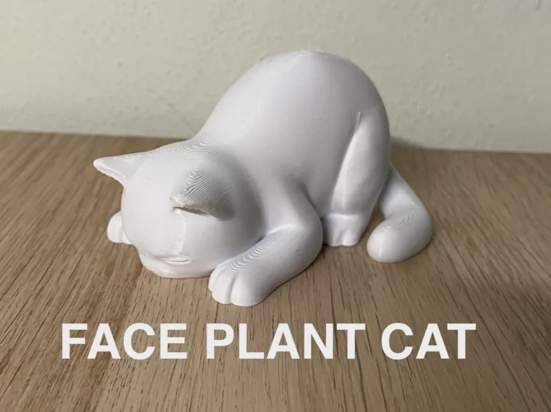 Face Plant Cat