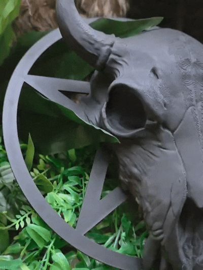 https://makerworld.bblmw.com/makerworld/model/USd6b7beb8f76fe0/design/2025-10-06_112bf6c0833b18.gif
