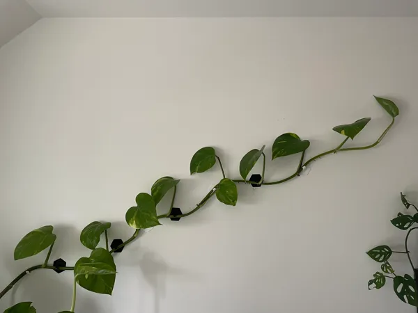 https://makerworld.bblmw.com/makerworld/model/USd6b80fd5e44fca/design/2024-05-01_10f77e5a59407.jpeg