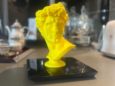 Bust of Michelangelo's David