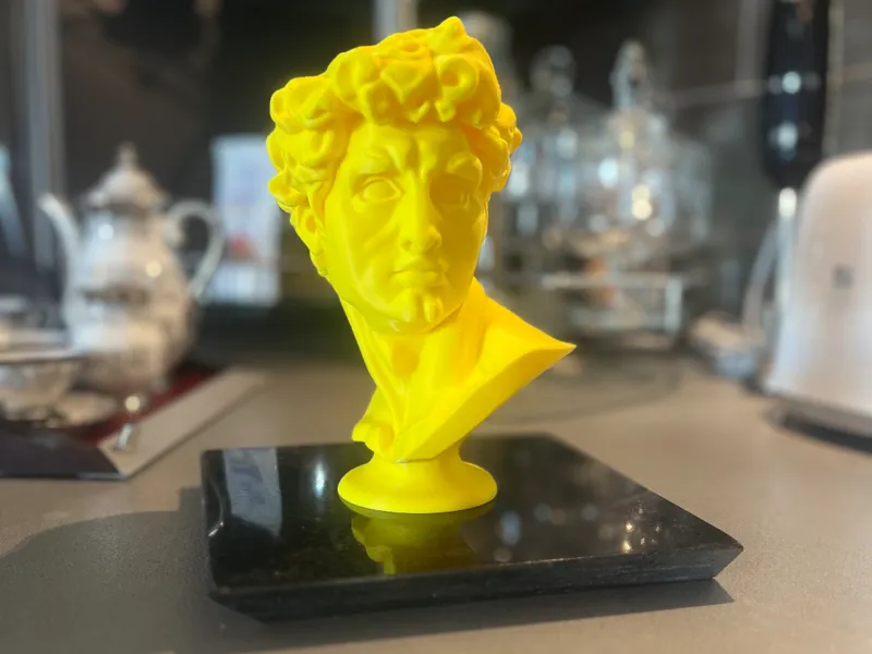 Busto David di Michelangelo