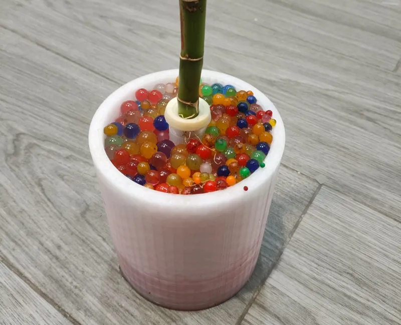 Jarrón para Bambú con bolas